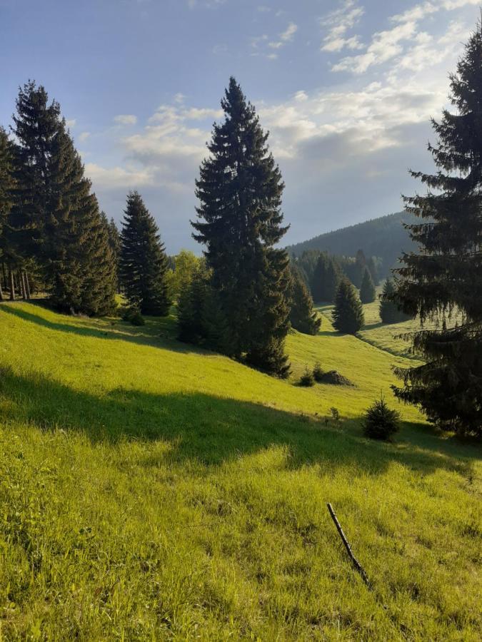 Chalupa Pod Stromy Kovářská Esterno foto
